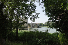 Avignon